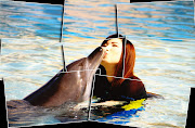 Dancing with a cute Dolphin at Atlantis Hotel, Dubai :) (img resize)
