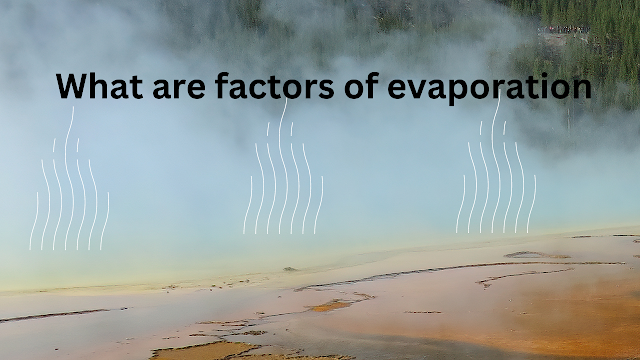  What are factors of evaporation