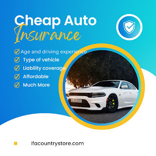 Cheap-auto-Insurance-companies-under-18-drivers