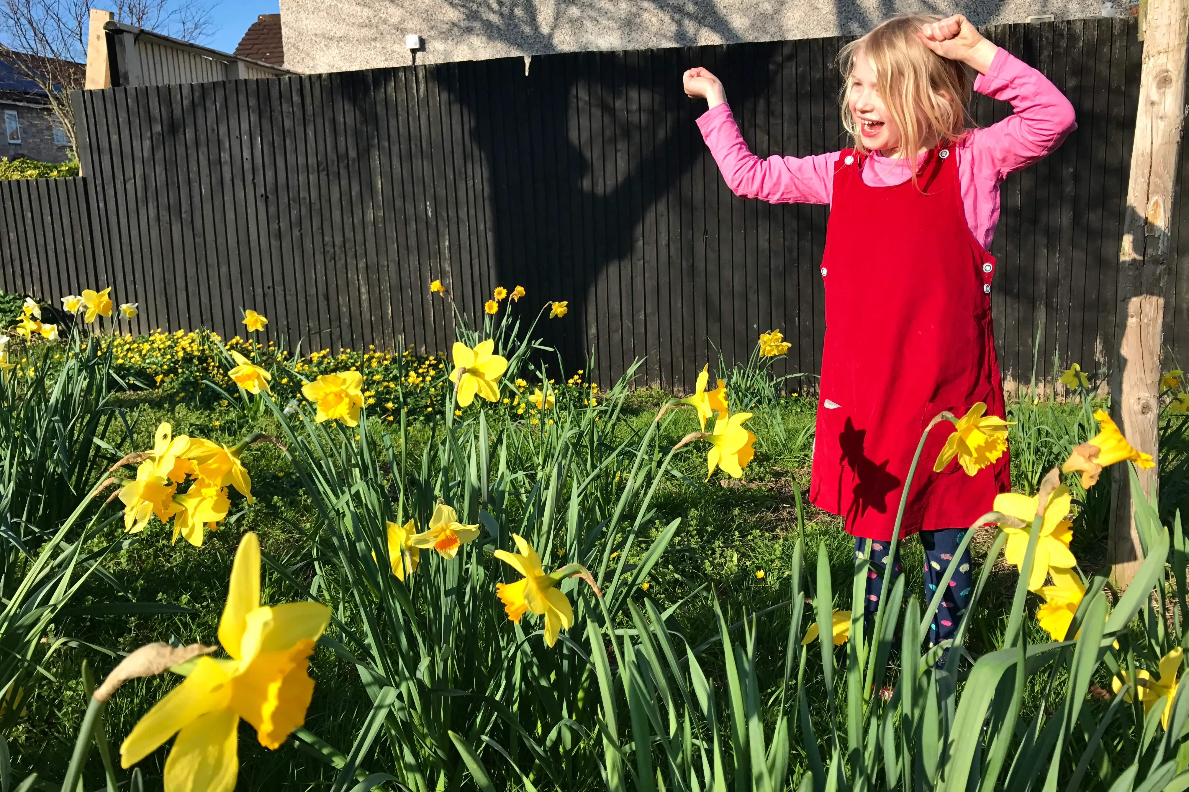 A child dancing among daffodils on a Spring day