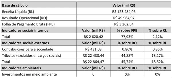 tabela apresenta dados de uma versão resumida do Balanço Social anual de 2017 de uma empresa