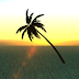 [MOD] Palm Modified
