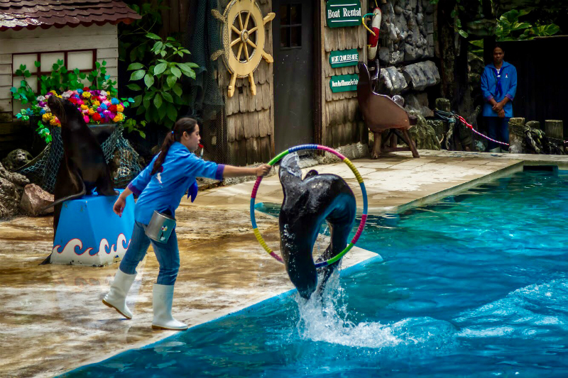 Marine Park in Bangkok