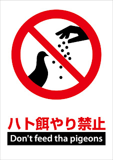 ピクトグラムbox 看板ピクトグラム無料素材ダウンロードサイト 無料ピクトグラム 設置事例 お願い フン被害の為ハトに餌を与えないでマーク ピクトグラムbox 看板ピクトグラム無料素材ダウンロードサイト 無料ピクトグラム 設置事例 お願い フン被害の為ハトに餌を与えないでマーク