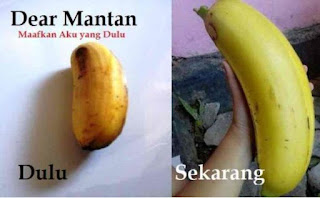 meme dear mantan