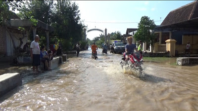 Banjir Giliran Melanda Ngawi, Ratusan Hektare Padi Terendam, Jalan Putus