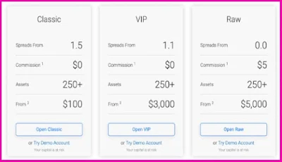 BDSwiss Account types