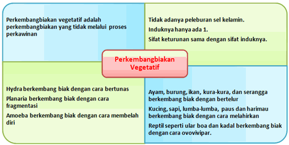 Contoh Hewan Ovipar - Contoh Kono