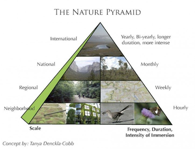 The Nature Pyramid