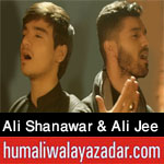 http://humaliwalayazadarcom.blogspot.com/2017/09/ali-shanawar-ali-jee-nohay-2018.html