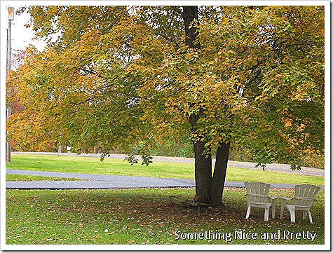 Picmonkey Photos 002