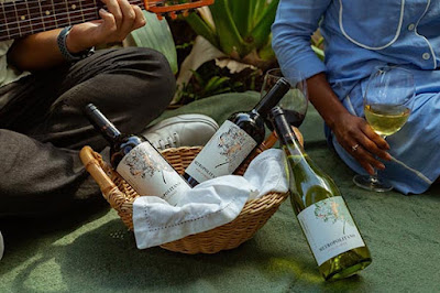 Grupo Wine lança Metropolitano, sua primeira linha de vinhos autoral