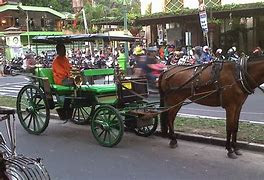 10 Famous Traditional Transportation in Indonesia