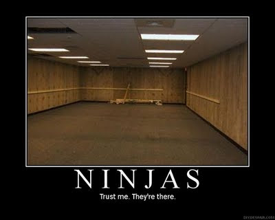Funny Ninja posters-Ninja demotivators