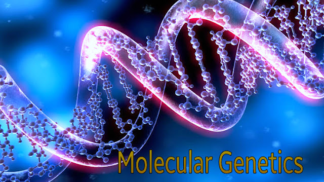 Molecular Genetics image