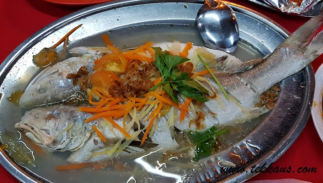 Steamed Fish Seafood Dinner