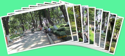 View album