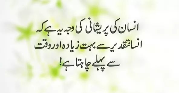 10+ New Motivational Quotes, Urdu Quotes, Quotes, Beautiful Quotes, love quotes , popular quotes, quote in urdu, quotes in urdu, Motivational quotes, quotes , islamic quotes, quotes about life, best quotes