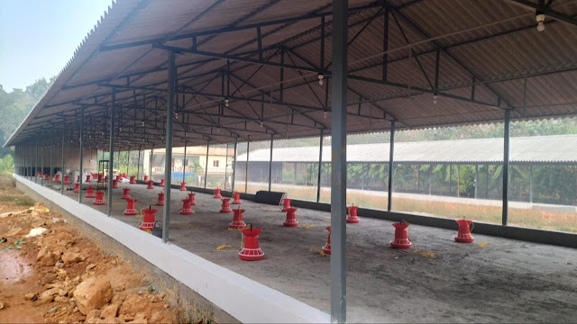 POULTRY SHED DESIGN AND CONSTRUCTION