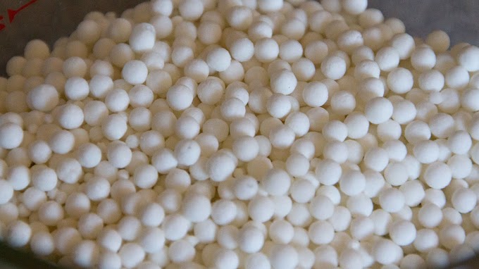 Tapioca (साबूदाना)