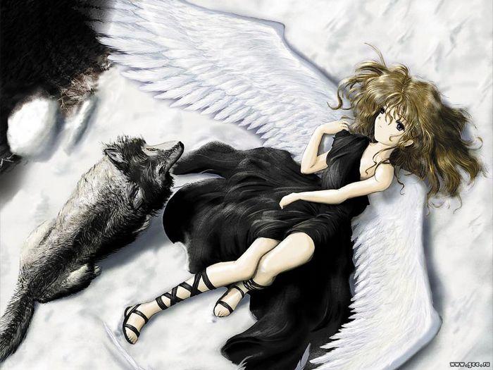 anime wolves with wings. anime wolves.