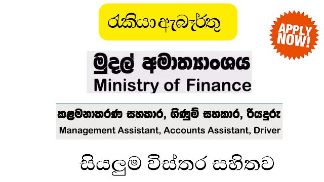 Management Assistant, Accounts Assistant, Driver – Ministry Of Finance Job Vacancies 2024