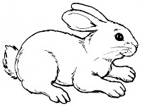 Realistic Rabbit Coloring Pages Printable