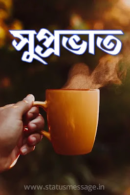 Best 30 Bengali Good Morning Image Free Download, Subho ...