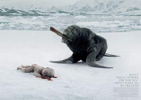 Humans or Animals controversial print ad