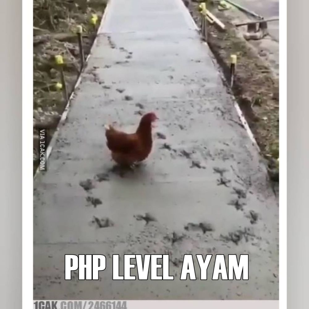 100 Gambar Ayam Raksasa Lucu Gambar Pixabay