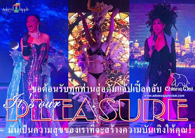 Ladyboy Cabaret It is our pleasure Adams Apple Club Chiang Mai Gay Bar