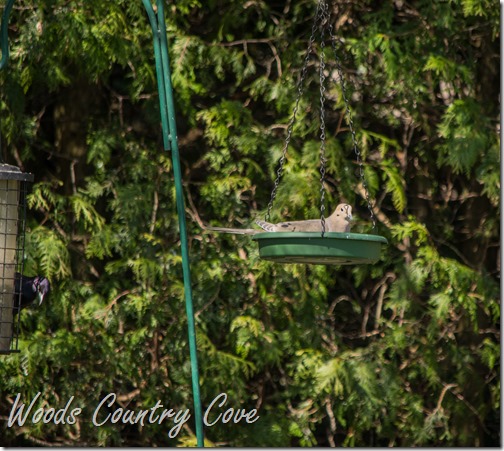APRIL 2016 (7 of 43)