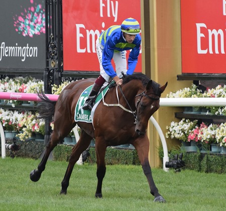 australian cup_jameka 1 australian cup_jameka 1