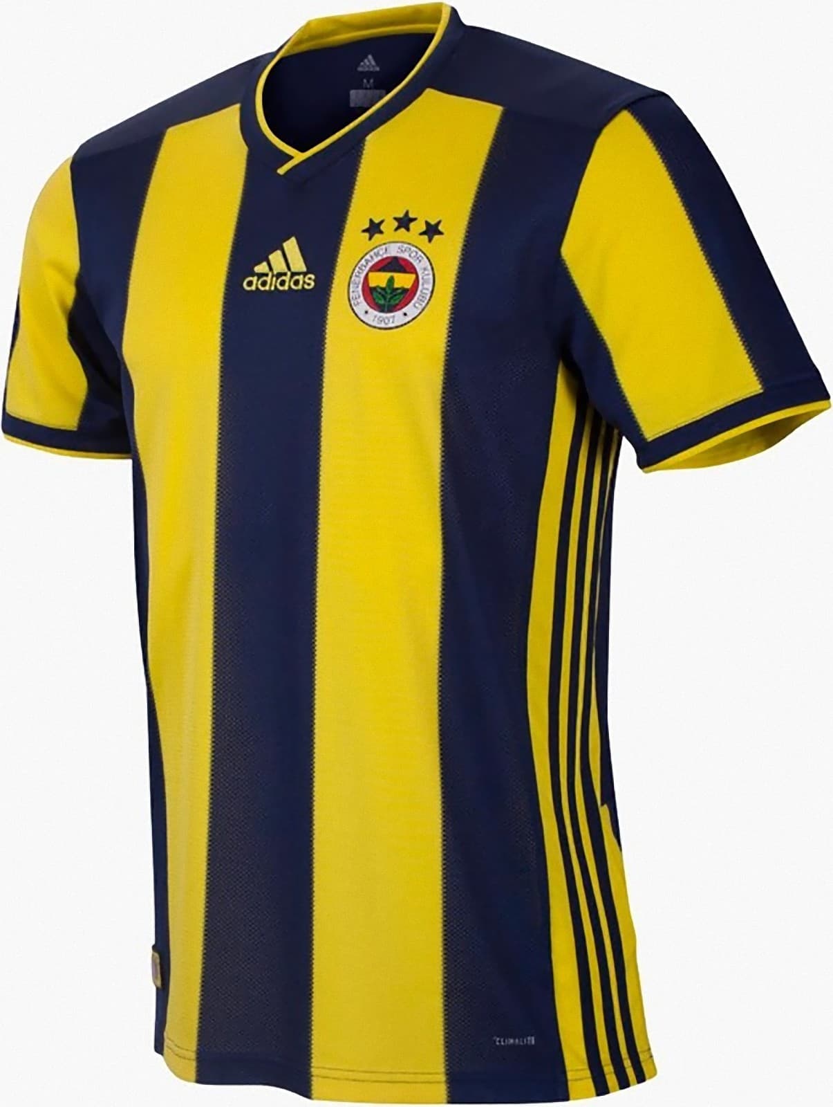 Template フェネルバフチェskのメンバー Template Fenerbahce S K Squad Japaneseclass Jp