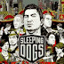 Sleeping Dogs PC Game Repack Incl. DLCs