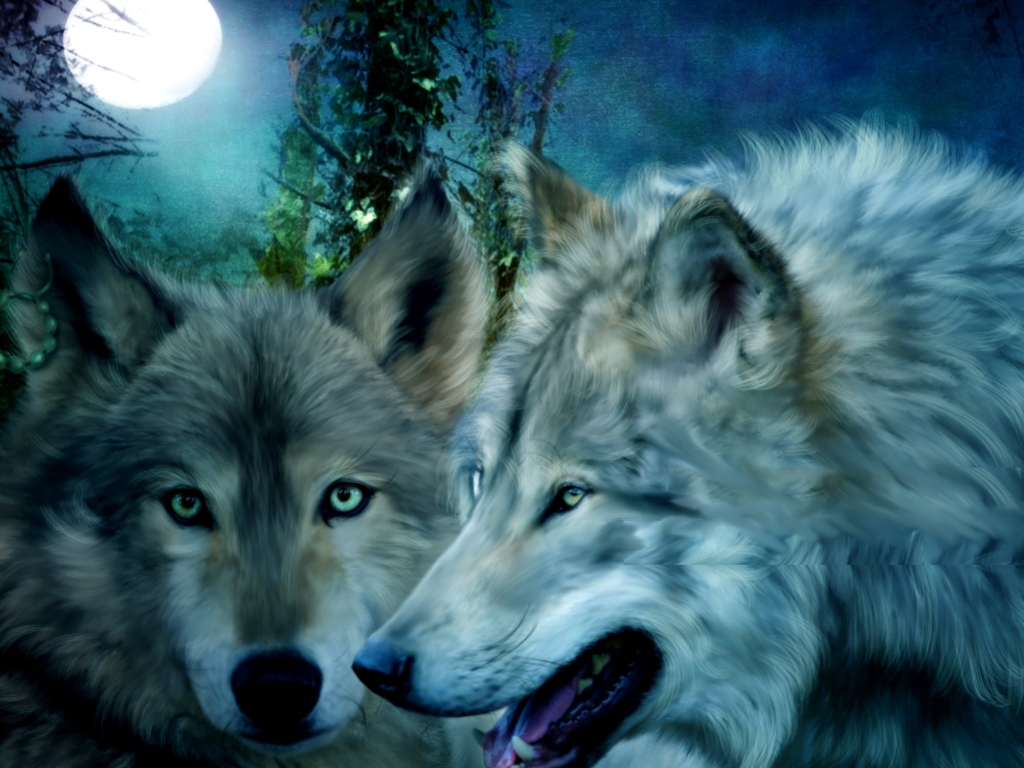 Amor a los lobos: Os dejo unas imágenes preciosas de lobos: