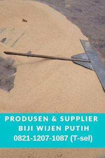 Harga  Wijen Putih 2014, Harga  Wijen Putih 2015, Harga  Wijen Putih 2016, Harga  Wijen Putih 2017, Impor  Wijen, Importir  Wijen , Importir  Wijen Surabaya, Jenis  Wijen Putih, Jual  Wijen Putih, Jual Biji Wijen Jakarta