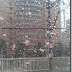 primera nevada 始雪