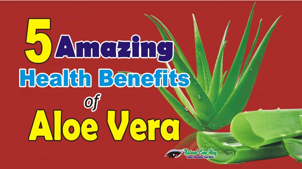 5 Amazing Health Benefits of Aloe Vera