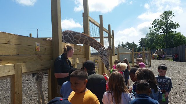 My Daughter's Field Trip:  Animal Adventure --Harpursville, NY --How Did I Get Here? My Amazing Genealogy Journey