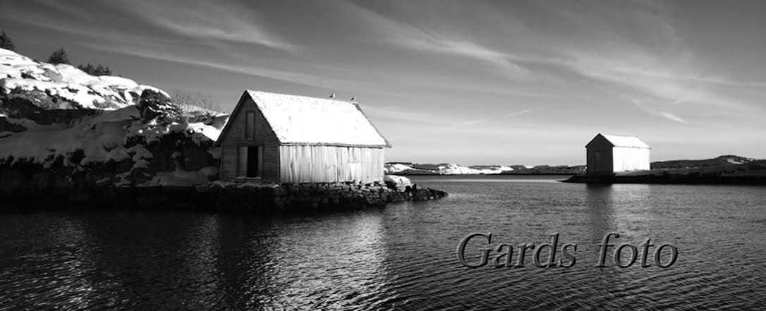 Gards foto