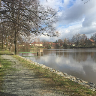 Obrázek