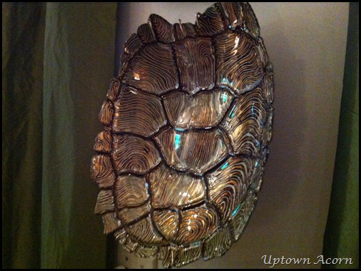photo_3