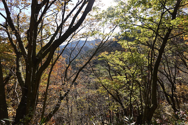 鳥取県西伯郡大山町豊房 ツバヌキ山登山道からの眺望