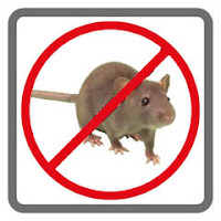 Holaa Pest Control Service in Ahmedabad