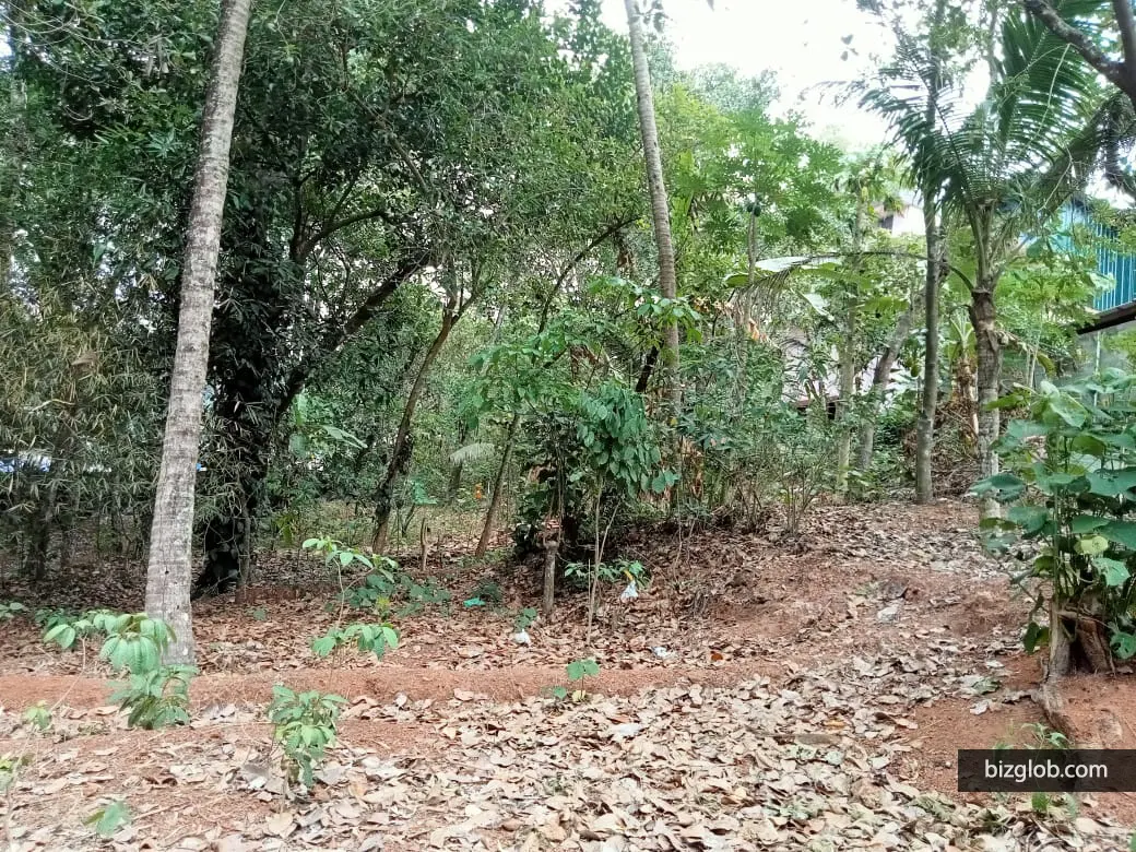 House, Villa, land for sale, Kollam, Parippally, Kalluvathukkal, Pulikkuzhi