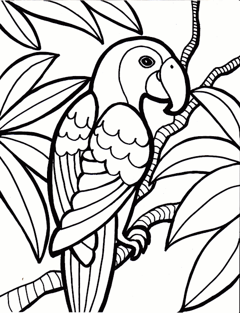 Parrot Printables  Parrot Bird Coloring Pages