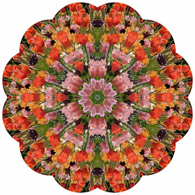 Kaleidoscope Photo Art Tulips by Jeanne Selep