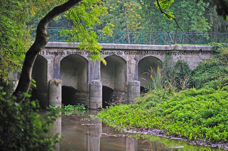 Lorroy le Fusain passant sous le canal du Loing