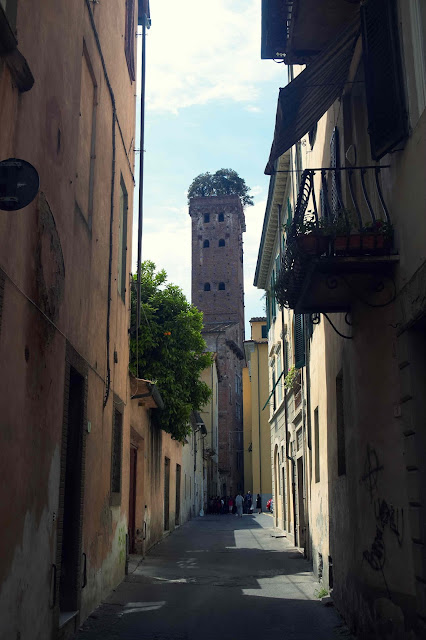 Wieża Torre Guinigi, Lukka